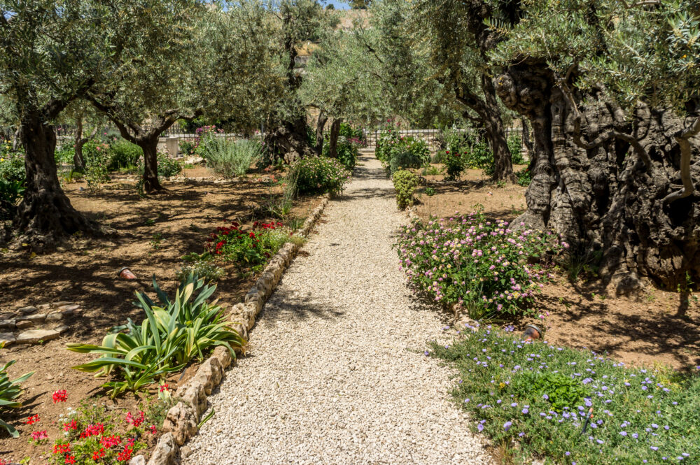 Garden of Gethsemane